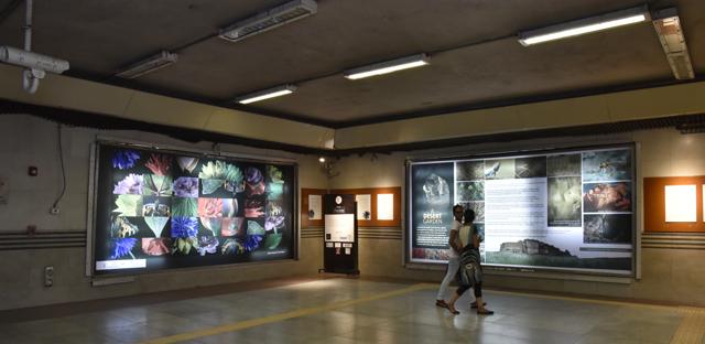 IHC displays panels on art and culture at the Jor Bagh and Mandi House stations based on different themes. (Tribhuwan Sharma / HT Photo) IHC displays panels on art and culture at the Jor Bagh and Mandi House stations based on different themes. (Tribhuwan Sharma / HT Photo)