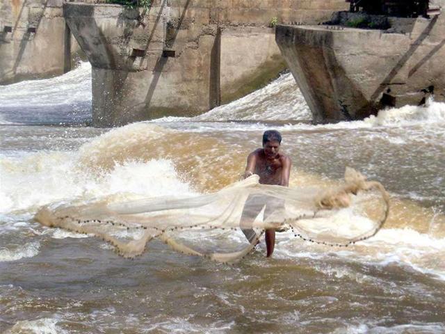 A fisherman throws his fishing net to catch fishes in Krishna river. A flood alert has been issued in many villages of two border districts of Karnataka after excess rain water was released from Maharashtra into the Krishna river. (HT File Photo) A fisherman throws his fishing net to catch fishes in Krishna river. A flood alert has been issued in many villages of two border districts of Karnataka after excess rain water was released from Maharashtra into the Krishna river. (HT File Photo)