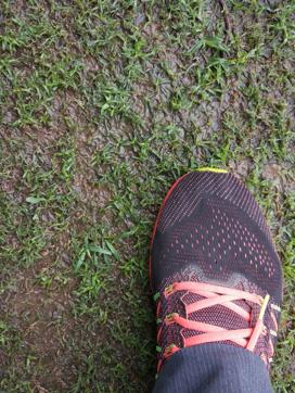 The grass might look green from a distance, but it’s really slushy underneath. (Sukhwant Basra) The grass might look green from a distance, but it’s really slushy underneath. (Sukhwant Basra)