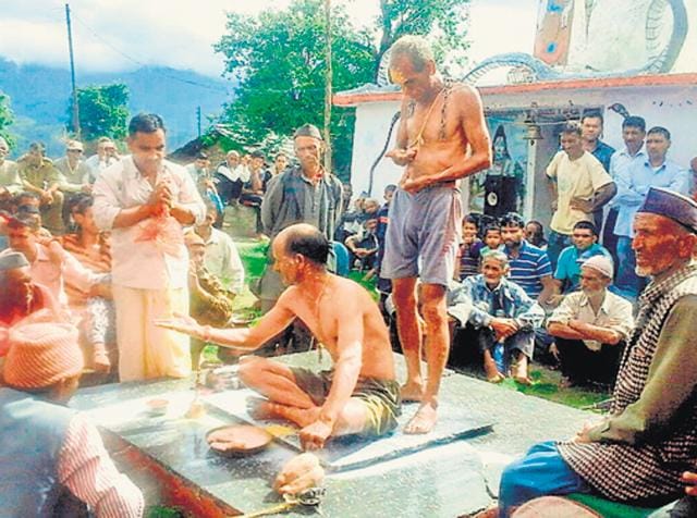 An official pleads before ‘Peshwa’, believed to be an incarnation of ‘Nag Devta’, in Uttarkashi. HT photo (HT photo) An official pleads before ‘Peshwa’, believed to be an incarnation of ‘Nag Devta’, in Uttarkashi. HT photo (HT photo)