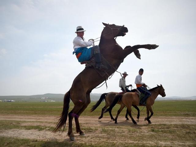 Naadam sports festival, sees men and women participate in three sports -- wrestling, horse-riding and archery. A Mongolian controls his horse. (AFP) Naadam sports festival, sees men and women participate in three sports -- wrestling, horse-riding and archery. A Mongolian controls his horse. (AFP)