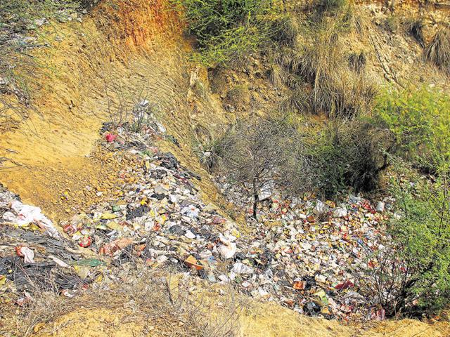 The area under dispute is notified the Punjab Land Preservation Act, 1900, and as such non-forest activities are restricted there.(HT File Photo) The area under dispute is notified the Punjab Land Preservation Act, 1900, and as such non-forest activities are restricted there.(HT File Photo)