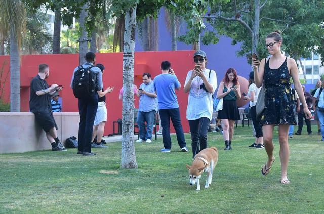 Julia Voth (R) and April O'Neil (C) look at their phones while playing Pokemon Go at Pershing Square in Los Angeles, California, one of a number of landmark locations across communities in southern California which serve as gathering point for people playing the game. (AFP) Julia Voth (R) and April O'Neil (C) look at their phones while playing Pokemon Go at Pershing Square in Los Angeles, California, one of a number of landmark locations across communities in southern California which serve as gathering point for people playing the game. (AFP)