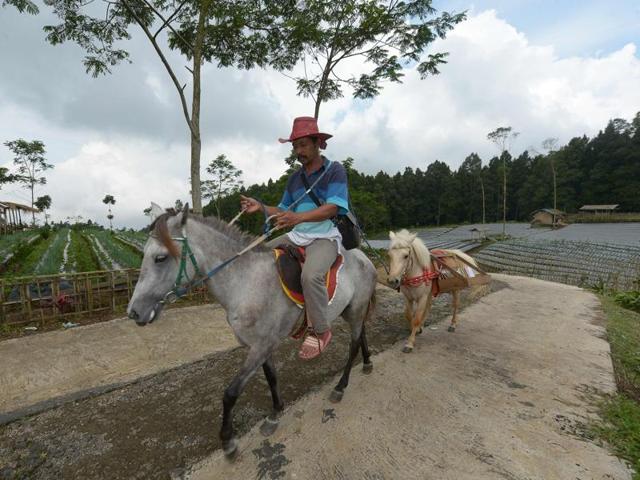 Ridwan moves on to a new destination and another village. (AFP) 