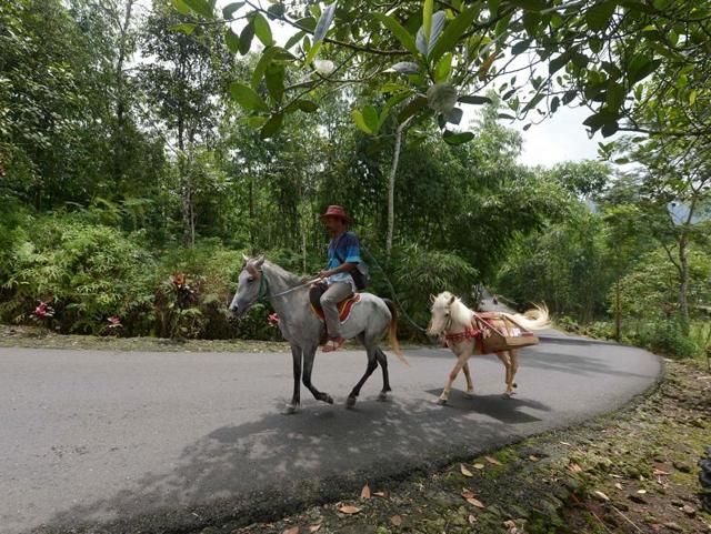 It may look like a lonely journey but Ridwan doesn’t seem to mind it.  (AFP) 