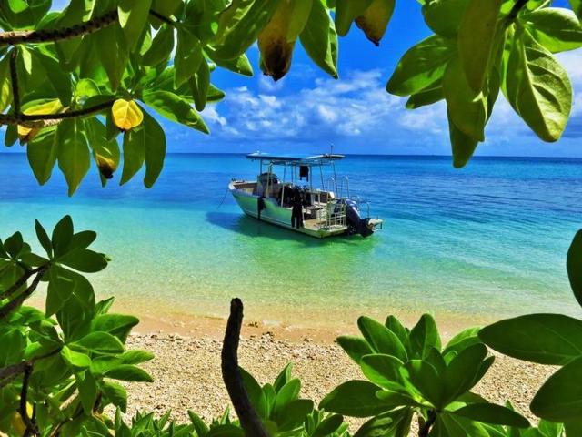 Its warm, clear waters offer year-round diving and snorkelling in what’s often referred to as the soft-coral capital of the world.  (Instagram) 
