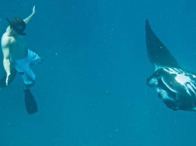 Ono island: Leave your tanks and dive regulators behind at this snorkel-only site just off northeast Kadavu. This is a place to swim with manta rays, which come in from the ocean each morning for a bit of a brush up at this cleaning station on a shallow reef.   (Instagram) 