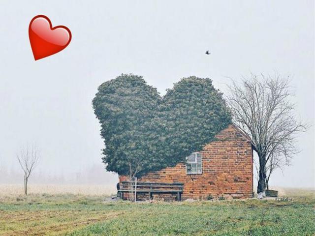 Mother nature sending out some love. (Instagram/lizavicol) Mother nature sending out some love. (Instagram/lizavicol)