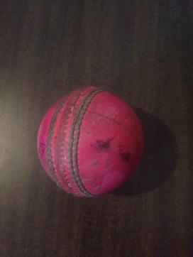 The pink ball used in RCA’s Colvin Shield final didnt lose its colour till the end of the innings. (Ht Photo) The pink ball used in RCA’s Colvin Shield final didnt lose its colour till the end of the innings. (Ht Photo)