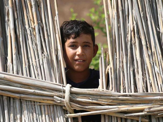 An Iraqi boy looks on from behind a fence. UNESCO has named Iraqi marshlands once ravaged by dictator Saddam Hussein as a World Heritage Site, a bright spot for a country where jihadists have repeatedly sought to wipe out history. (AFP)