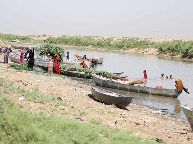 Iraqis going about their regular business in the marshlands. (AFP)