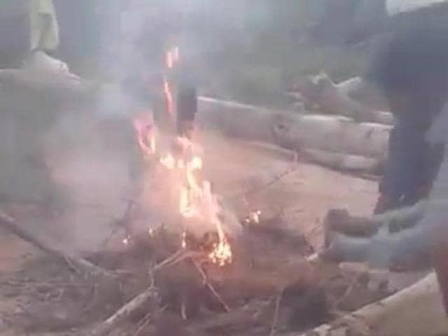 Animal rights activists have demanded psychiatric evaluation of eight juveniles who burnt alive three puppies and filmed the horrific act. (Screengrab) Animal rights activists have demanded psychiatric evaluation of eight juveniles who burnt alive three puppies and filmed the horrific act. (Screengrab)
