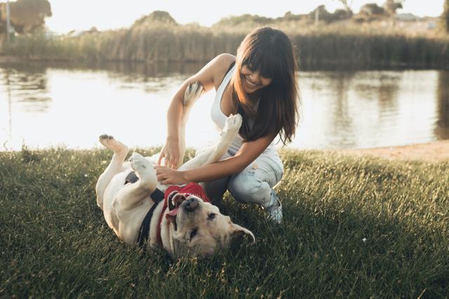 Families with an autistic child should consider pet ownership as a way to improve family harmony, suggest researchers. (Shutterstock) Families with an autistic child should consider pet ownership as a way to improve family harmony, suggest researchers. (Shutterstock)