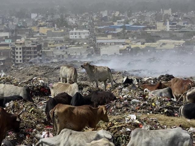 Vision of hell: When the five elements of nature - space, air, fire, water and earth - are not in harmony, environmental disasters like the fire at Delhi’s Bhalswa dumpyard become frequent. (Ravi Choudhary/Hindustan Times Photo) Vision of hell: When the five elements of nature - space, air, fire, water and earth - are not in harmony, environmental disasters like the fire at Delhi’s Bhalswa dumpyard become frequent. (Ravi Choudhary/Hindustan Times Photo)