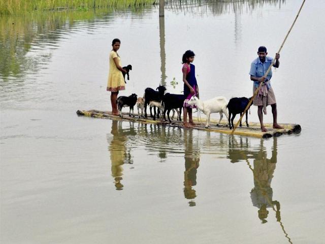 Villagers along with their cattle wade through a raft from the flood affected village of Murkata in Morigaon district, Assam. (PTI Photo) Villagers along with their cattle wade through a raft from the flood affected village of Murkata in Morigaon district, Assam. (PTI Photo)