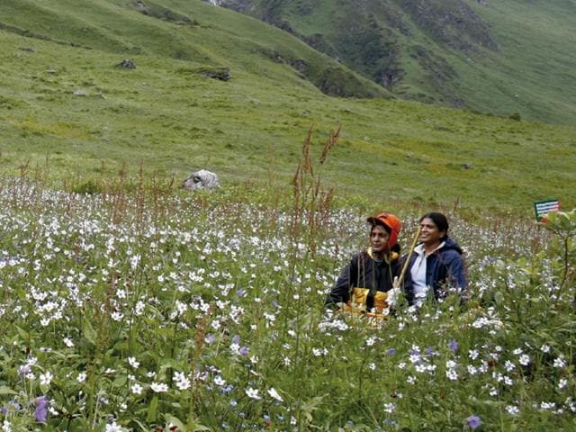 Uttarakhand has sought eco-sensitive zones for Nandhaur Wildlife Sanctuary, Valley of Flowers National Park and Benog Wildlife Sanctuary. (HT Photo) Uttarakhand has sought eco-sensitive zones for Nandhaur Wildlife Sanctuary, Valley of Flowers National Park and Benog Wildlife Sanctuary. (HT Photo)