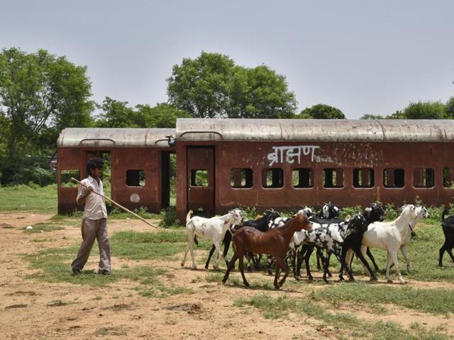 Not more than 10 kilometers away from the rush of Chattarpur metro station, in the heart of the thickly wooded Maidan Garhi forest, lay abandoned twin railway coaches. (Tribhuwan Sharma/HT photo) Not more than 10 kilometers away from the rush of Chattarpur metro station, in the heart of the thickly wooded Maidan Garhi forest, lay abandoned twin railway coaches. (Tribhuwan Sharma/HT photo)