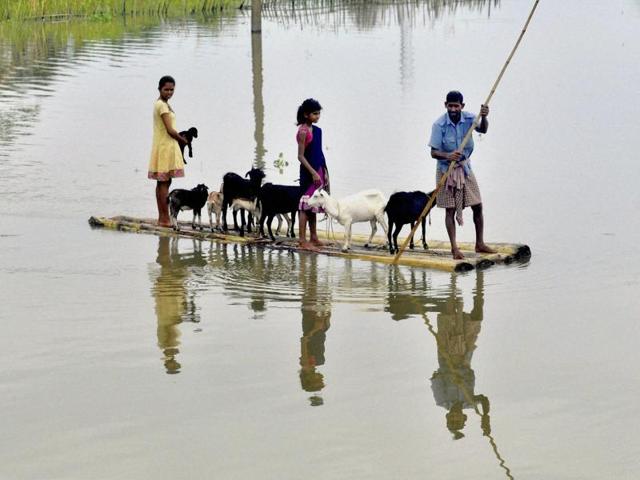 Villagers along with their cattle wade through a Banana raft from the flood affected village of Murkata in Morigaon district, Assam on Friday. (PTI) Villagers along with their cattle wade through a Banana raft from the flood affected village of Murkata in Morigaon district, Assam on Friday. (PTI)
