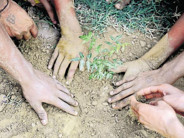 A tree-planting campaign in Noida in June 2016. How much environment should India sacrifice for industrialisation? A legislation sparks of debate. (Sunil Ghosh/ HT file photo) A tree-planting campaign in Noida in June 2016. How much environment should India sacrifice for industrialisation? A legislation sparks of debate. (Sunil Ghosh/ HT file photo)