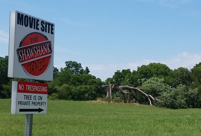 The fallen oak tree made popular by its role in the movie The Shawshank Redemption in Ohio. High winds last week apparently downed the tree, which is featured in one of the final scenes of the 1994 film. (AP)