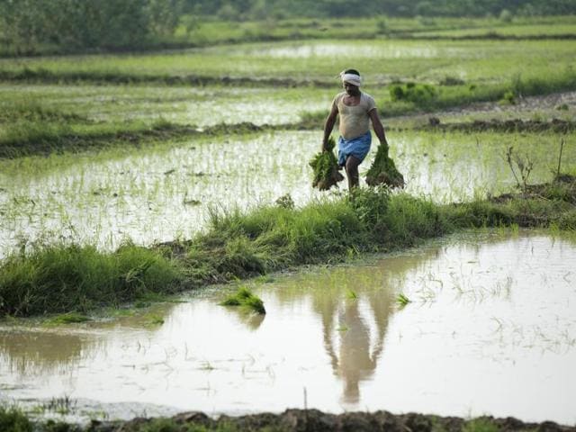 25 years of change: Why India’s farm sector needs a new deal ...