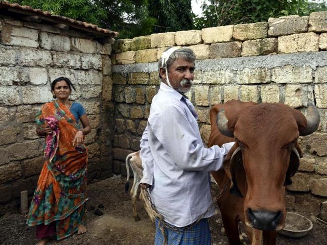 Balubhai, father of one of the Dalit victims who was brutally assaulted by self-styled 'cow protectors' in Una, Gujarat.(Arun Sharma/ HT Photo)