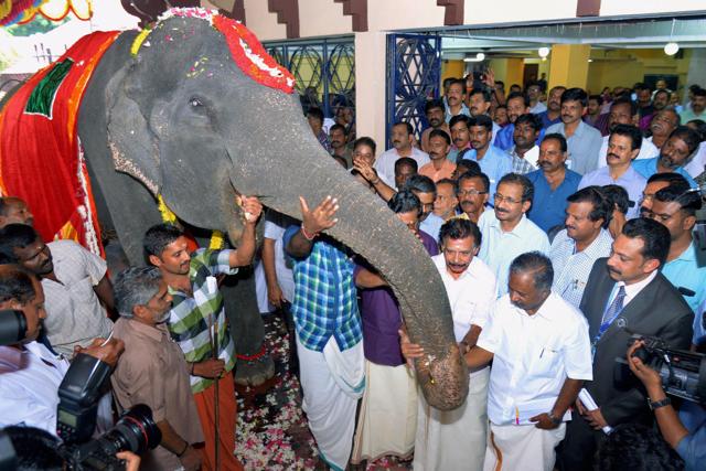 Dakshayani, an 86-year-old elephant being felicitated by Travancore Devaswom Board at a function in Thiruvananthapuram on Wednesday. (PTI) Dakshayani, an 86-year-old elephant being felicitated by Travancore Devaswom Board at a function in Thiruvananthapuram on Wednesday. (PTI)