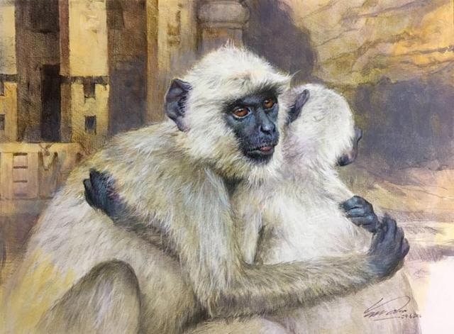 ‘The emotions’ depicts two langurs spotted near the Kanheri caves. (Vasudeo Kamath)