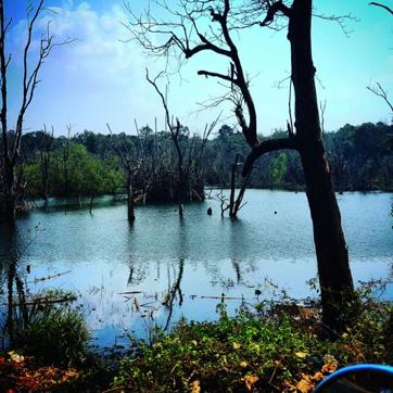 “This was shot on my way Mangalore to Karwar. I remember not using my camera for almost the entire ride. I found this amazing view when I took a pit stop.” “This was shot on my way Mangalore to Karwar. I remember not using my camera for almost the entire ride. I found this amazing view when I took a pit stop.”