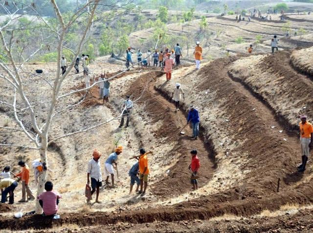 Eight out of 10 claims for land title by forest dwellers under the Forest Rights Act were rejected last year.(HT File Photo/Representative image)