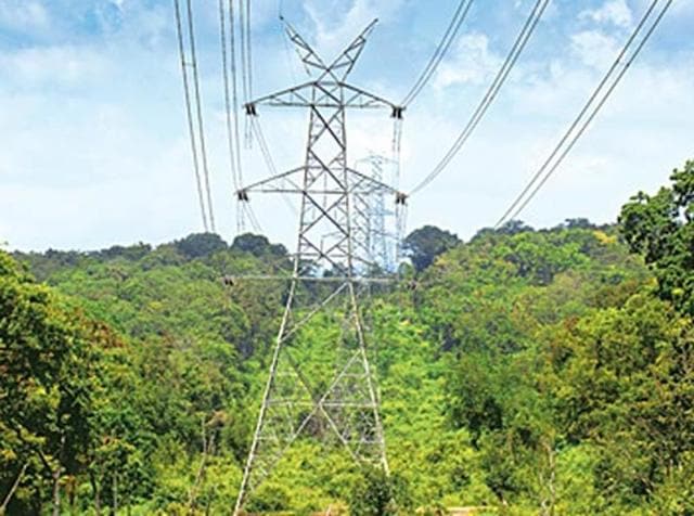 The decline in forest cover in Ghaziabad, UP, is attributed to massive infrastructure activities. The green areas have also witnessed intrusion due to this. (Sakib Ali /HT) The decline in forest cover in Ghaziabad, UP, is attributed to massive infrastructure activities. The green areas have also witnessed intrusion due to this. (Sakib Ali /HT)