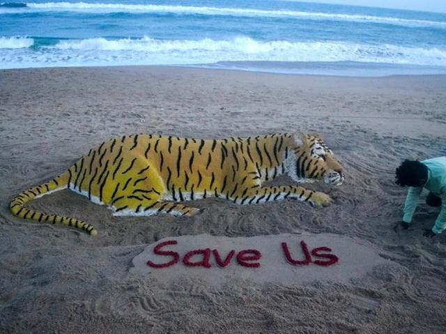 SOS: On the occasion of international tiger day, renowned sand artist Sudarsan Pattnaik has created a sand sculpture of a tiger . "Save Us", says the message at Puri beach of Odisha . (Arabinda Mahapatra) SOS: On the occasion of international tiger day, renowned sand artist Sudarsan Pattnaik has created a sand sculpture of a tiger . "Save Us", says the message at Puri beach of Odisha . (Arabinda Mahapatra)