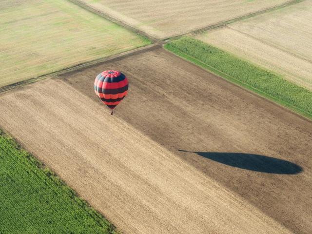 'No survivors' as hot air balloon with 16 on board crashes ...