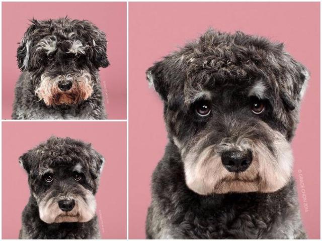 Raider before: This guy’s definitely a little skeptical but that shag has got to go. Raider after: The salt-and-pepper look is spot on. How can you not love that beard? (Instagram) Raider before: This guy’s definitely a little skeptical but that shag has got to go. Raider after: The salt-and-pepper look is spot on. How can you not love that beard? (Instagram)
