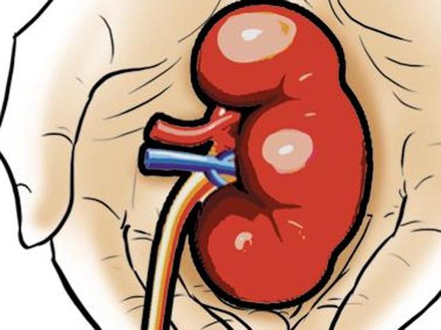 The Powai-based hospital has transferred patients awaiting a transplant to other hospitals. The Powai-based hospital has transferred patients awaiting a transplant to other hospitals.