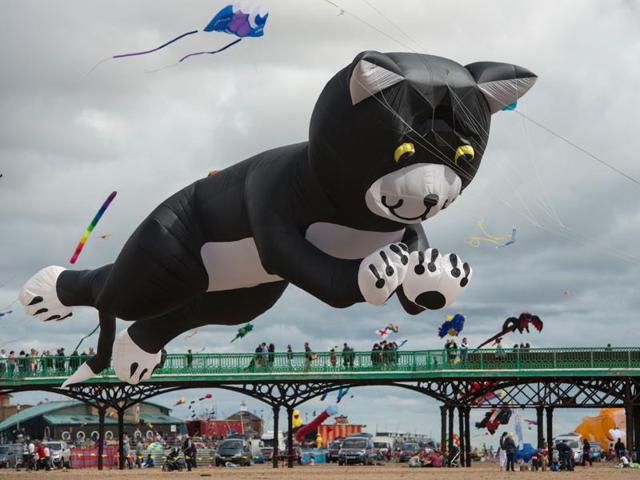 The major attractions in this edition included Oscar — the world’s largest teddy bear kite, along with a giant inflatable octopus, flying cows, dogs and hippos. (AFP) The major attractions in this edition included Oscar — the world’s largest teddy bear kite, along with a giant inflatable octopus, flying cows, dogs and hippos. (AFP)