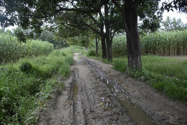 The crime scene where a family was robbed and a woman and her teenage daughter were gangraped. (Sakib Ali/ HT Photo) The crime scene where a family was robbed and a woman and her teenage daughter were gangraped. (Sakib Ali/ HT Photo)