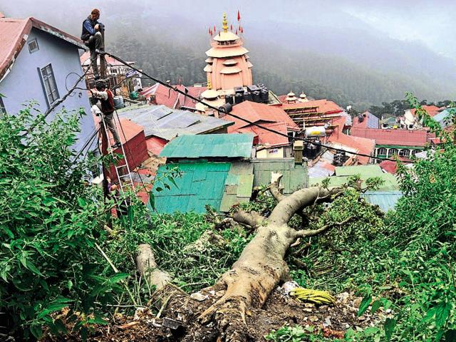 An uprooted tree due to heavy rainfall damaged the power line which interrupted the power supply in the area of Ram bazaar near SD School, Shimla on Sunday. (Deepak Sansta/HT Photo) An uprooted tree due to heavy rainfall damaged the power line which interrupted the power supply in the area of Ram bazaar near SD School, Shimla on Sunday. (Deepak Sansta/HT Photo)
