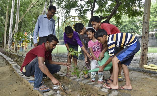 Children are being encouraged to take care of the trees planted this year.(Tribhuwan Sharma / HT Photo)