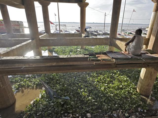 Locals sit on pillars below Harishchandra Ghat as hyacinth plants floats on River Ganges in Varanasi. The Ganga basin is home to 500 million people, 100 million of whom are directly dependent on it for domestic, commercial or agricultural use. (Ravi Choudhary/HT PHOTO)