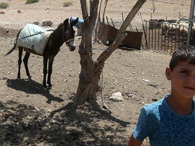 A Palestinian boy poses next to a donkey in the Israeli-occupied West Bank area of Tubas. A new Israeli law proposes jailing children as young as 12 convicted of “terrorist offences”. (AFP) A Palestinian boy poses next to a donkey in the Israeli-occupied West Bank area of Tubas. A new Israeli law proposes jailing children as young as 12 convicted of “terrorist offences”. (AFP)