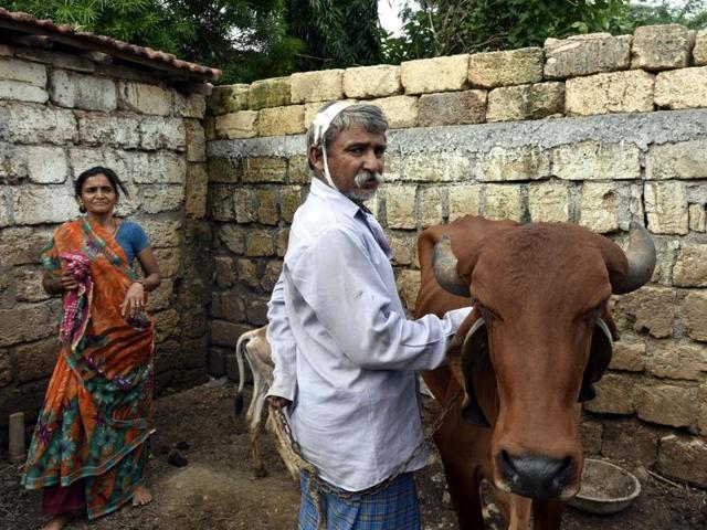 Balubhai, father of Dalit victims who was brutally assaulted by self-styled 'cow protectors' last week, at Mota Samdhiyala village in Una, Gujarat. (Arun Sharma/Hindustan Times) Balubhai, father of Dalit victims who was brutally assaulted by self-styled 'cow protectors' last week, at Mota Samdhiyala village in Una, Gujarat. (Arun Sharma/Hindustan Times)
