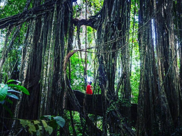 Fast forward to the idyllic Bali and we are so, so tempted to walk in Shenaz’s footsteps. (Instagram) 