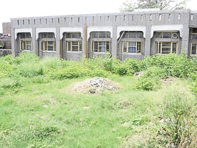 Wild grass surrounding the Bhai Mohkam Singh Satellite Hospital in Amritsar.(Sameer Sehgal/HT Photo)