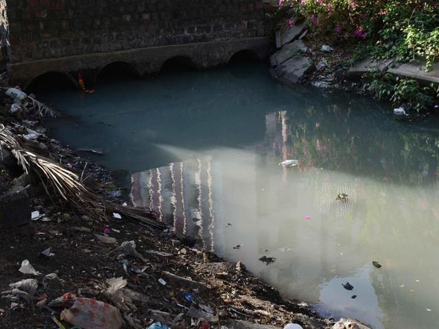 While in 2015, leptospirosis cases increased only during monsoon, this year has witnessed an upward trend in the cases throughout. (File photo) While in 2015, leptospirosis cases increased only during monsoon, this year has witnessed an upward trend in the cases throughout. (File photo)