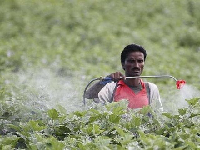Before the implementation of this rule, the agriculture department used to release 7 to 8 licences every month in both categories, it is learnt. (Representative image) Before the implementation of this rule, the agriculture department used to release 7 to 8 licences every month in both categories, it is learnt. (Representative image)