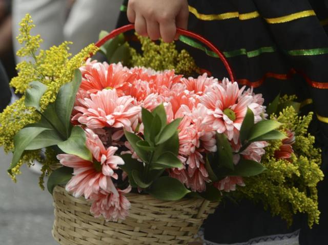 Aren’t these Gerberas a delight to behold? (AFP) Aren’t these Gerberas a delight to behold? (AFP)