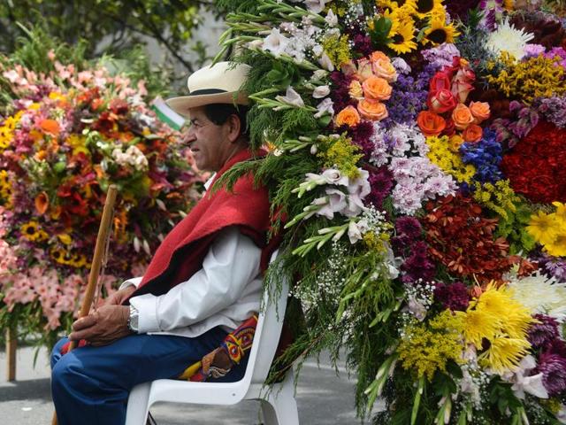 Roses, sunflowers, gladioli... a man sits in the company of bright and colourful flowers. (AFP) Roses, sunflowers, gladioli... a man sits in the company of bright and colourful flowers. (AFP)