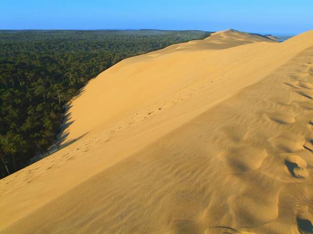 This is the largest dune in Europe, measuring 2.9 km long, 616 meters wide, and 110 meters high, and consisting of 60 million cubic meters of sand. Located at Teste de la Buch in the Arcachon bay area, the Dune of Pilat moves each year by one to five meters, pushed along by the wind and the tides. The gentle slope on the ocean side is easier to climb; the other side plunges steeply towards a forest. (iStockphoto) This is the largest dune in Europe, measuring 2.9 km long, 616 meters wide, and 110 meters high, and consisting of 60 million cubic meters of sand. Located at Teste de la Buch in the Arcachon bay area, the Dune of Pilat moves each year by one to five meters, pushed along by the wind and the tides. The gentle slope on the ocean side is easier to climb; the other side plunges steeply towards a forest. (iStockphoto)
