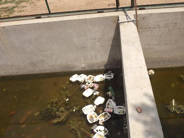 Pond constructed to rear larvae-eating fish filled with filth at the civil hospital in Moga on Tuesday. (HT Photo) Pond constructed to rear larvae-eating fish filled with filth at the civil hospital in Moga on Tuesday. (HT Photo)